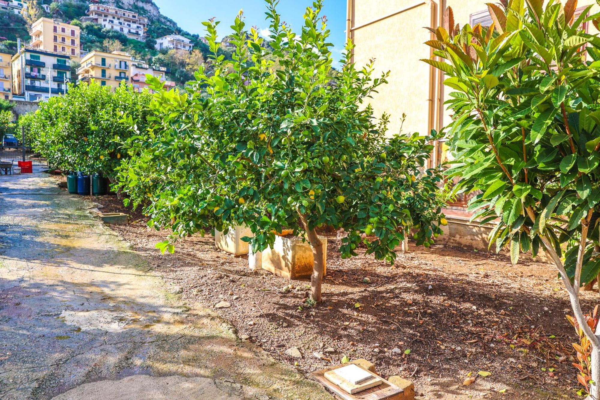 Bed & Breakfast Giardino Dei Cedri *
