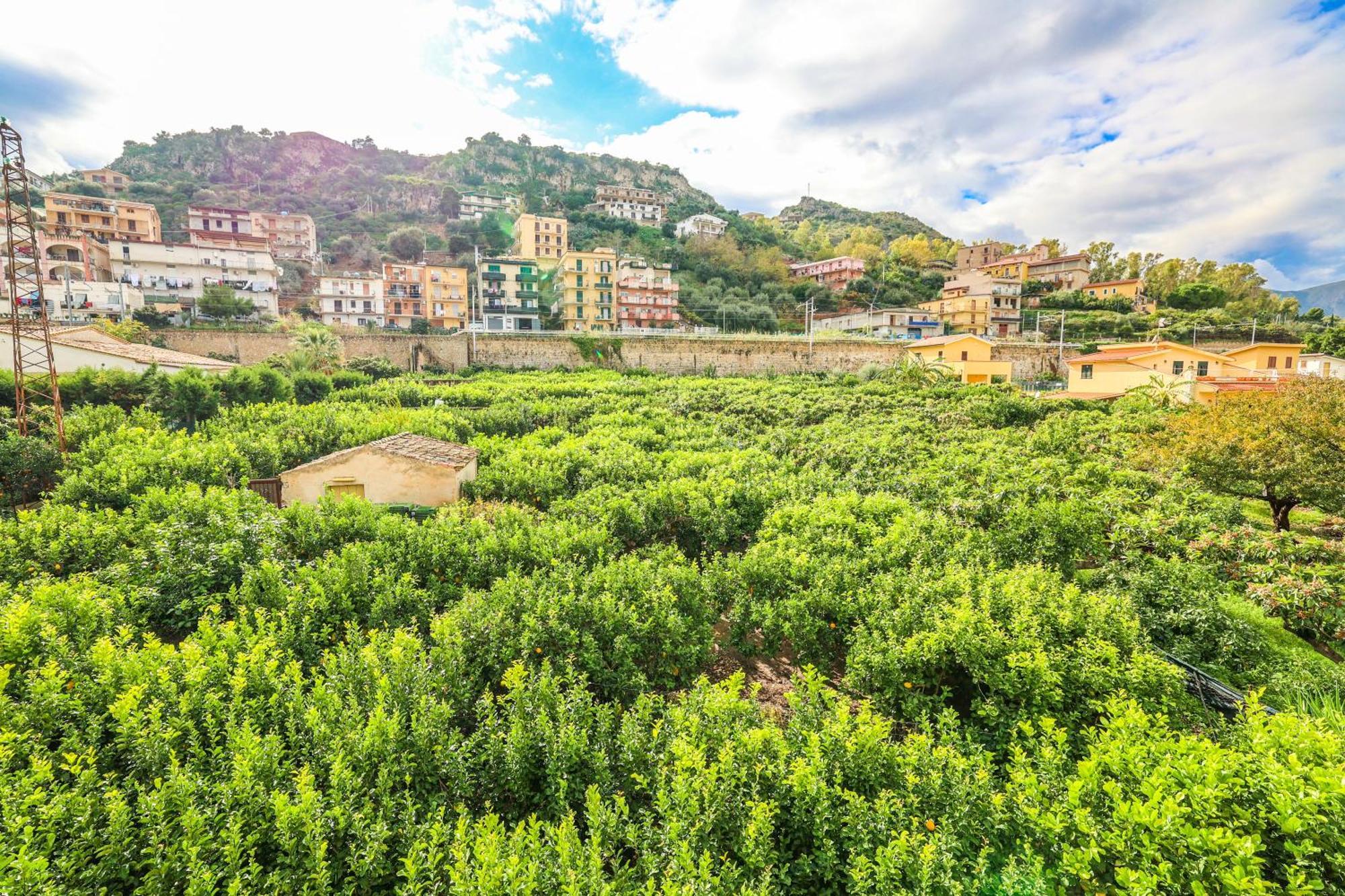 Giardino Dei Cedri Bed & Breakfast *